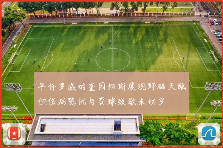平价罗威的奎因坦斯展现野猫天赋但伤病隐忧与罚球致敬米切罗